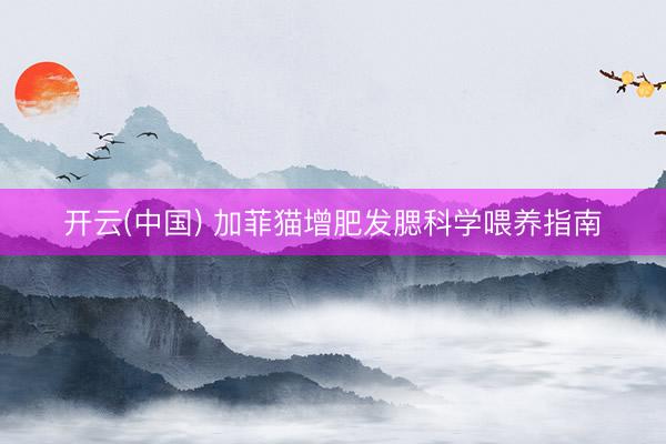 开云(中国) 加菲猫增肥发腮科学喂养指南