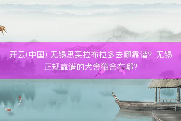 开云(中国) 无锡思买拉布拉多去哪靠谱？无锡正规靠谱的犬舍猫舍在哪？