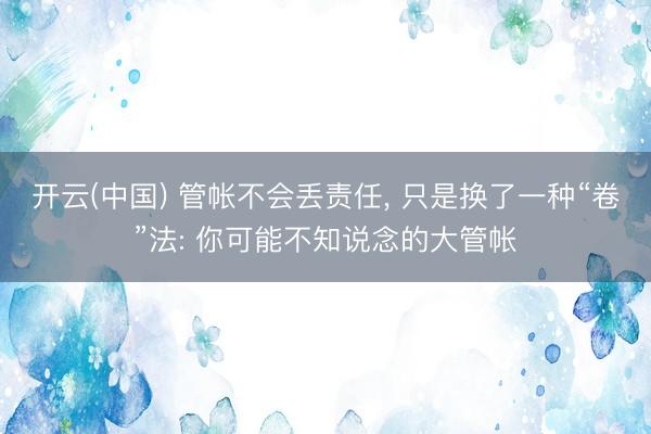 开云(中国) 管帐不会丢责任， 只是换了一种“卷”法: 你可能不知说念的大管帐