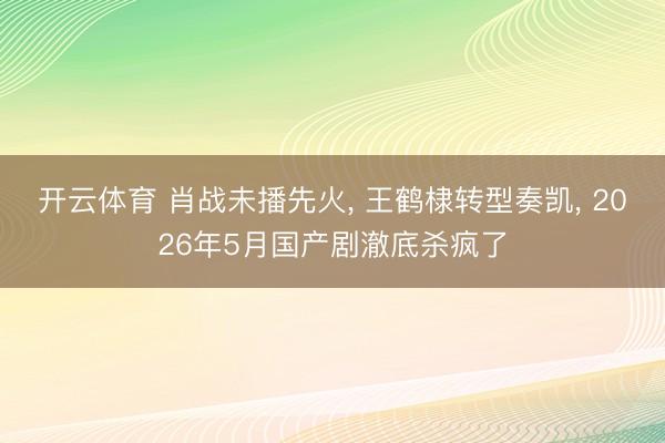 开云体育 肖战未播先火， 王鹤棣转型奏凯， 2026年5月国产剧澈底杀疯了