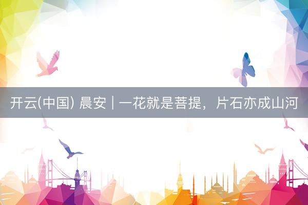 开云(中国) 晨安 | 一花就是菩提，片石亦成山河