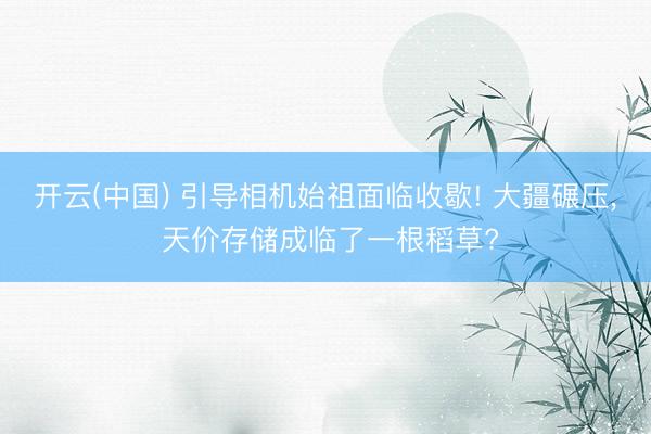 开云(中国) 引导相机始祖面临收歇! 大疆碾压， 天价存储成临了一根稻草?