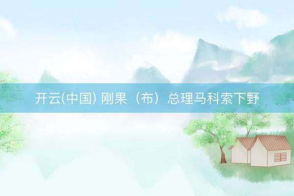 开云(中国) 刚果（布）总理马科索下野