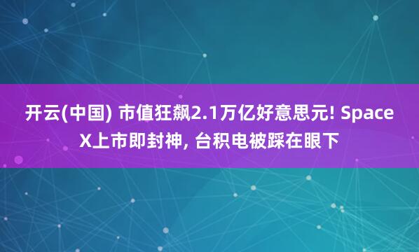开云(中国) 市值狂飙2.1万亿好意思元! SpaceX上市即封神， 台积电被踩在眼下
